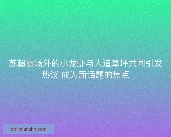 苏超赛场外的小龙虾与人造草坪共同引发热议 成为新话题的焦点 苏超赛场外的小龙虾与人造草坪共同引发热议 成为新话题的焦点