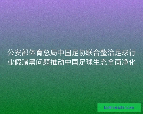 公安部体育总局中国足协联合整治足球行业假赌黑问题推动中国足球生态全面净化