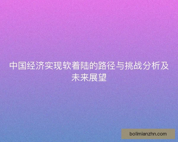 中国经济实现软着陆的路径与挑战分析及未来展望